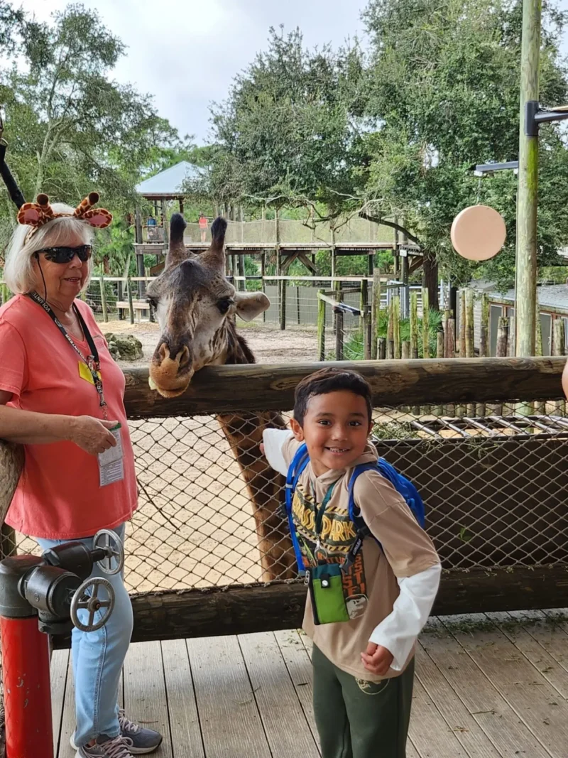 Tigason ak giraffe