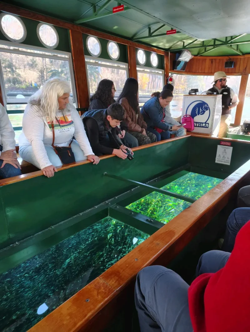 moun kap yon gwo pwason nan yon bato